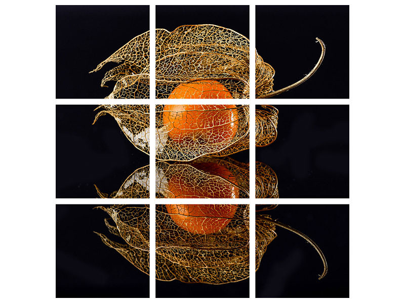canvas-print-physalis