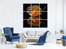 canvas-print-physalis