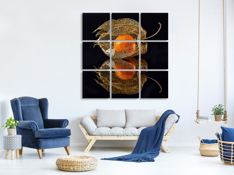 canvas-print-physalis