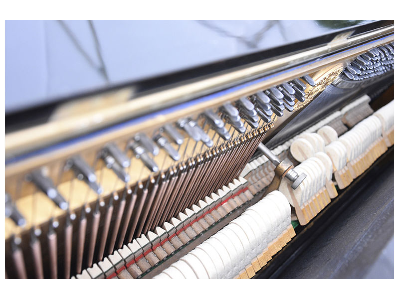 panoramic-canvas-print-piano-action