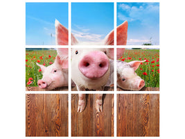canvas-print-pig-in-luck