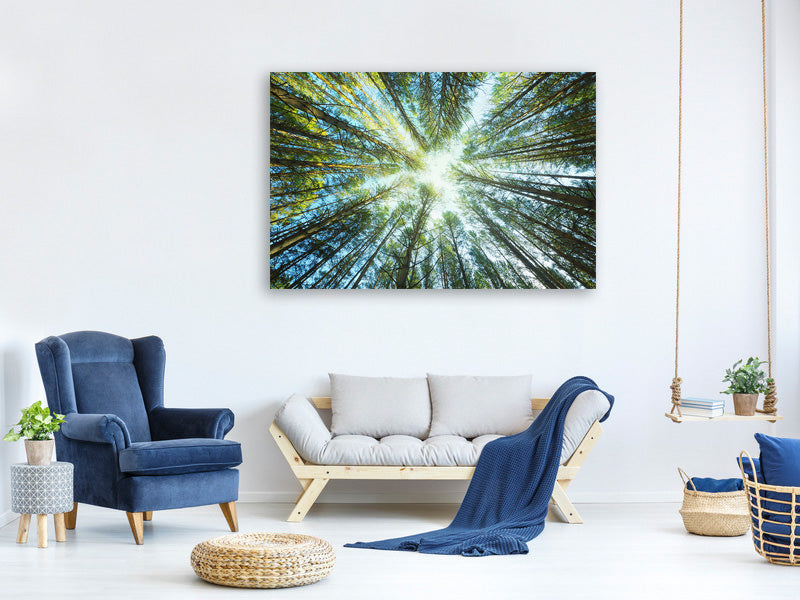5-piece-canvas-print-pine-forest
