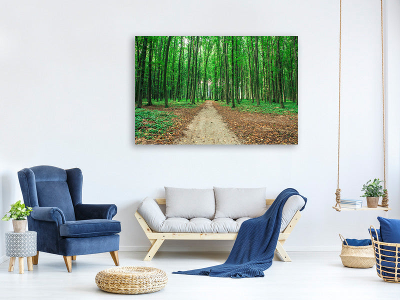 modern-4-piece-canvas-print-pine-forests