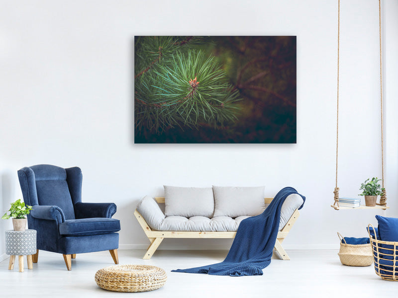 panoramic-canvas-print-pine-tree-close-up