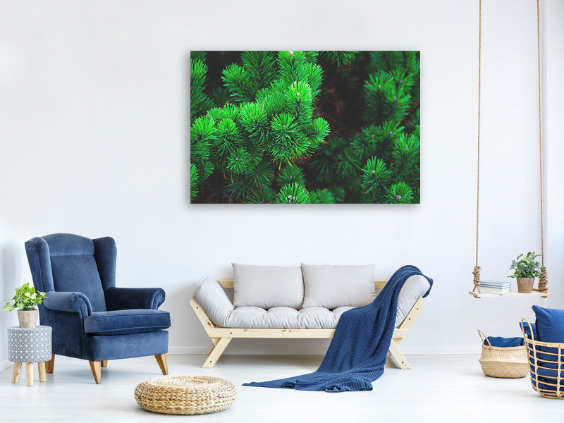 modern-3-piece-canvas-print-pine-xl