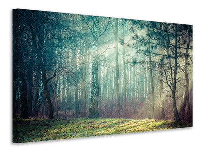 3-piece-canvas-print-pinewood