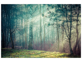 4-piece-canvas-print-pinewood