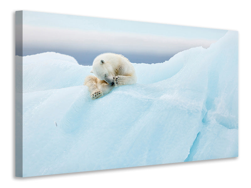 3-piece-canvas-print-polar-bear-grooming