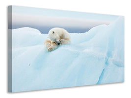 modern-3-piece-canvas-print-polar-bear-grooming