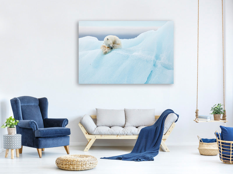 5-piece-canvas-print-polar-bear-grooming