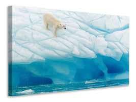 3-piece-canvas-print-polar-bear