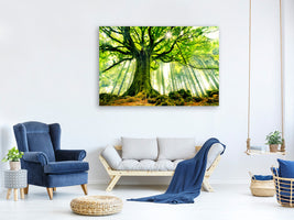 modern-4-piece-canvas-print-ponthus-beech