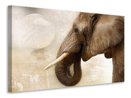 3-piece-canvas-print-portrait-of-an-elephant