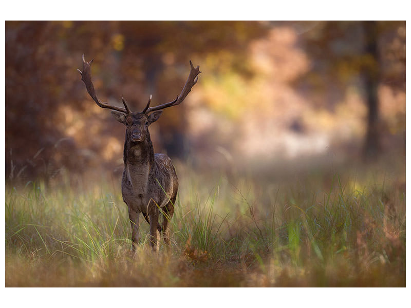 3-piece-canvas-print-posing