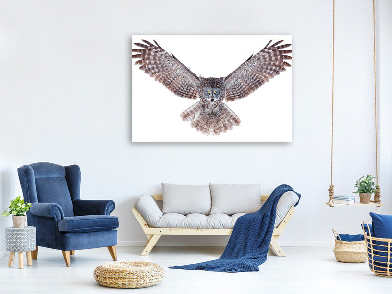 5-piece-canvas-print-power-great-grey-owl