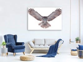 modern-4-piece-canvas-print-power-great-grey-owl