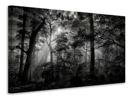 modern-4-piece-canvas-print-primary-forest