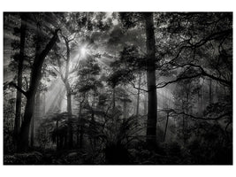 3-piece-canvas-print-primary-forest