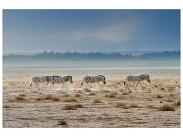 panoramic-canvas-print-promenade