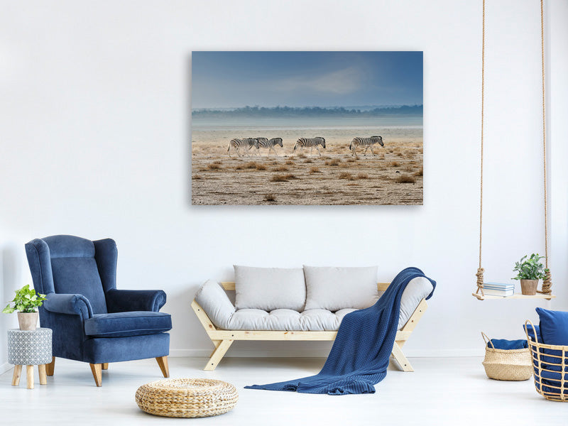 panoramic-canvas-print-promenade