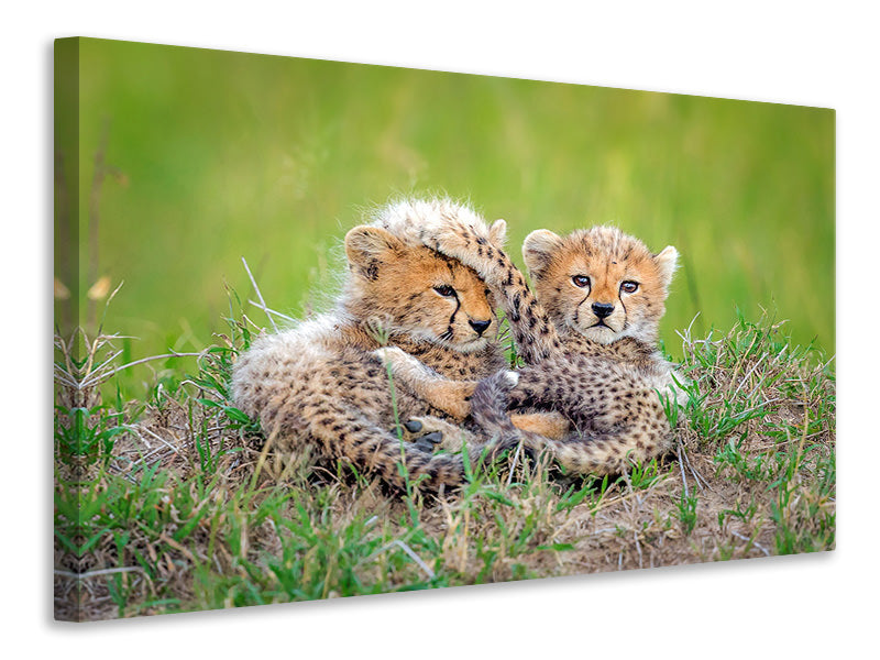 panoramic-canvas-print-promising