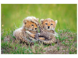 panoramic-canvas-print-promising