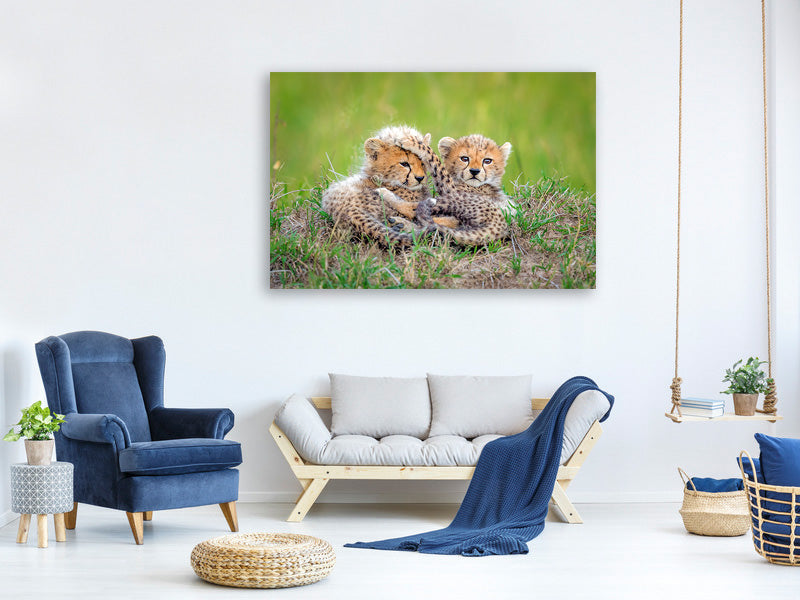 panoramic-3-piece-canvas-print-promising