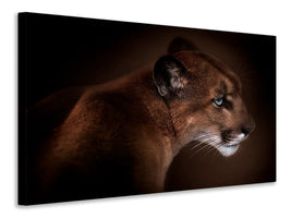 3-piece-canvas-print-puma