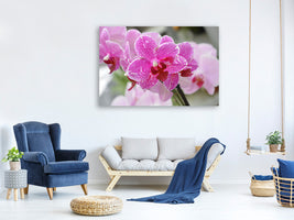 3-piece-canvas-print-purple-orchids-in-bloom