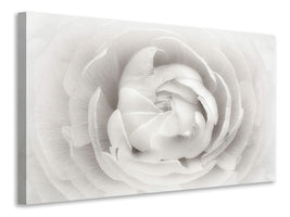 4-piece-canvas-print-ranunculus