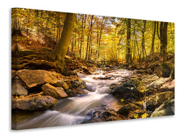 5-piece-canvas-print-real-nature-beauty