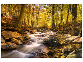 5-piece-canvas-print-real-nature-beauty