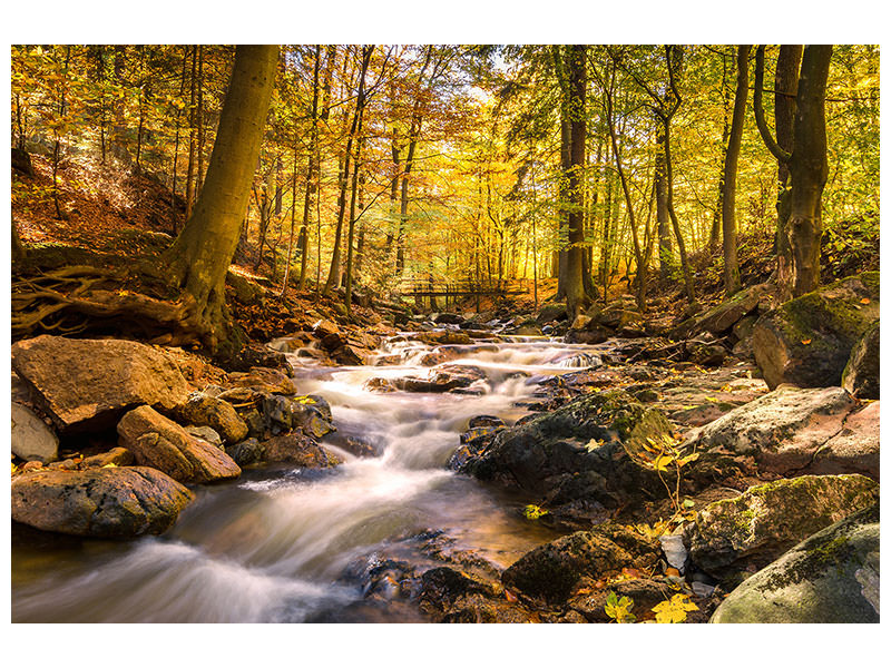 4-piece-canvas-print-real-nature-beauty