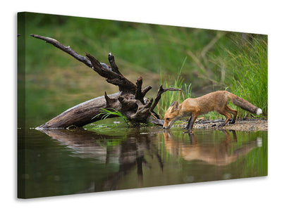 3-piece-canvas-print-red-fox-ii