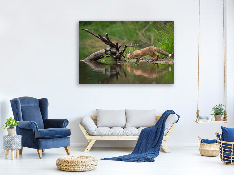 3-piece-canvas-print-red-fox-ii