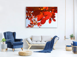 5-piece-canvas-print-red-leaves-xl