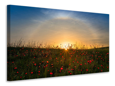 modern-4-piece-canvas-print-red-poppies-and-sunrise