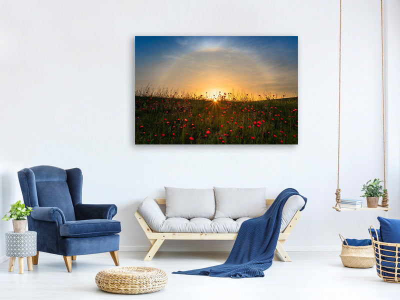 panoramic-3-piece-canvas-print-red-poppies-and-sunrise