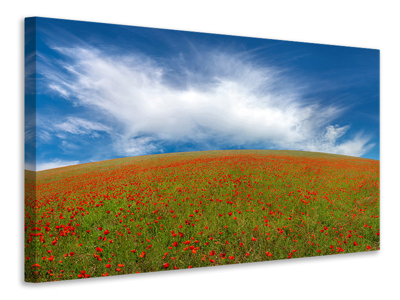 panoramic-3-piece-canvas-print-red-poppies