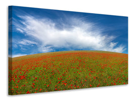 3-piece-canvas-print-red-poppies