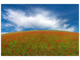 3-piece-canvas-print-red-poppies