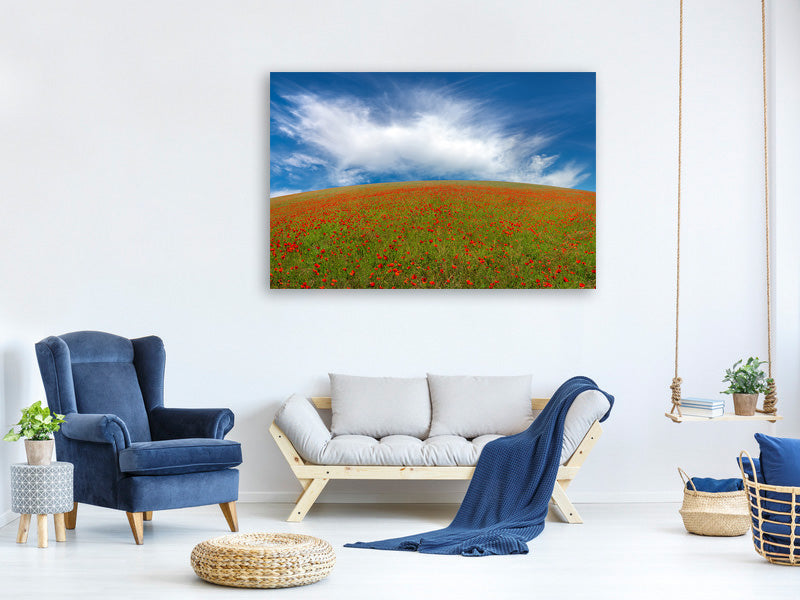 3-piece-canvas-print-red-poppies