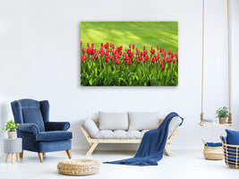 panoramic-3-piece-canvas-print-red-tulip-field-in-the-sunlight