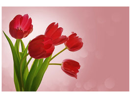 4-piece-canvas-print-red-tulips-bouquet