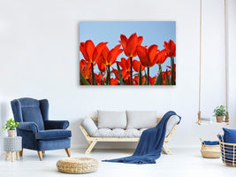 3-piece-canvas-print-red-tulips-xl
