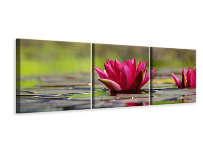 canvas-print-red-water-lily-duo