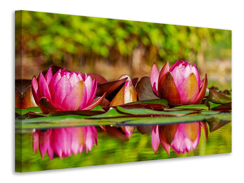 3-piece-canvas-print-red-water-lily-trio