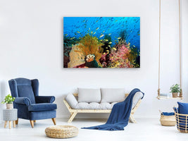 canvas-print-reef-at-cabilao-x