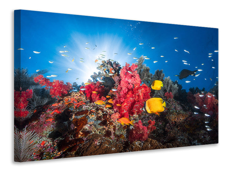 modern-3-piece-canvas-print-reef-life