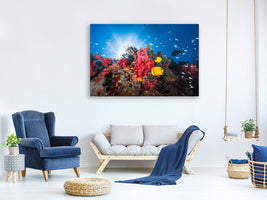 panoramic-canvas-print-reef-life